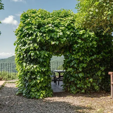 Universal Harmony - Cardellino * Dicomano